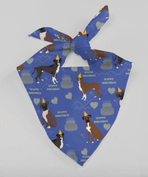 Birthday Boxer Bandana – Festive Party Print Boxer Accessory