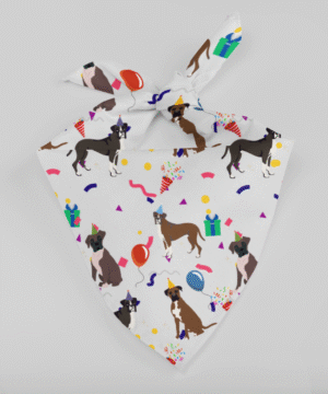 Birthday Boxer Bandana – Festive Party Print Boxer Accessory